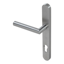 lever on backplate door handle